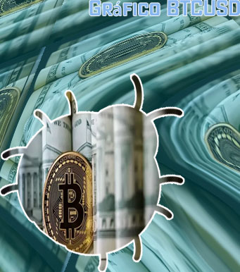 Btc cotización