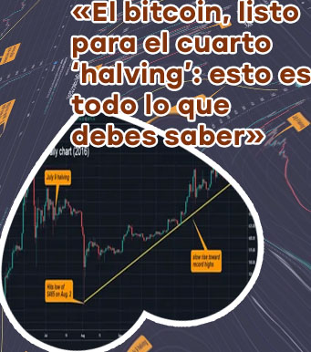 Btc halve