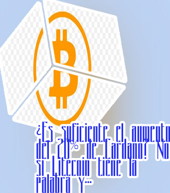 Btc no